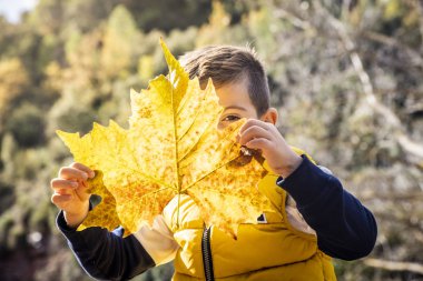 Küçük bir çocukla sonbaharda büyük bir yaprak
