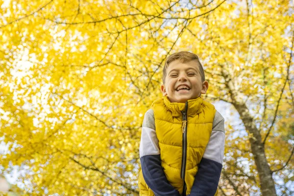 Cute Kid Yellow Tree Autumn — Stock Photo, Image