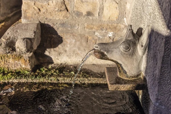Geyik şeklindeki Çeşme Pyrenees bir köyde üzerinde