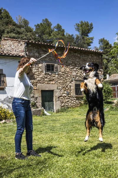Woman playing with a dog on the arden — Stock Photo, Image