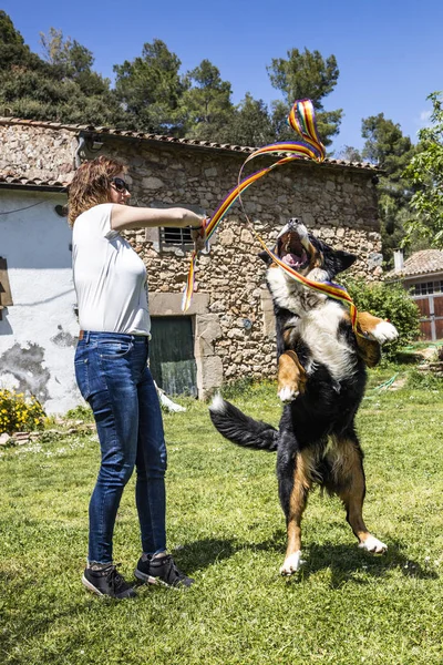 Woman playing with a dog on the arden — Stock Photo, Image