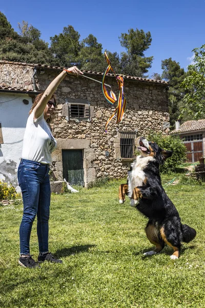 Woman playing with a dog on the arden — Stock Photo, Image