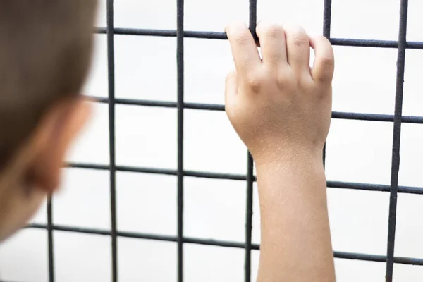 Детские руки на решетке клетки — стоковое фото