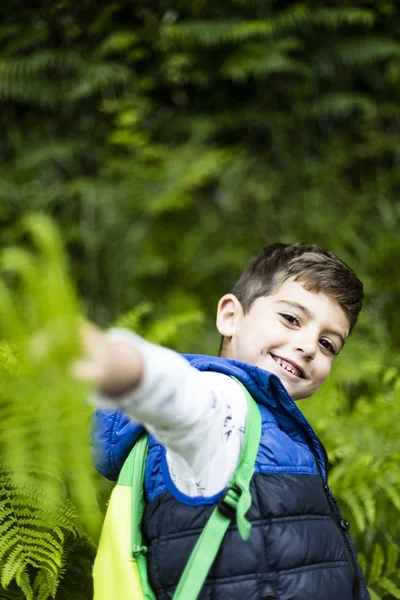 Ένας μικρός πεζοπόρος που παίζει με ένα φυτό στο δάσος — Φωτογραφία Αρχείου