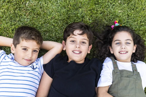 Drie gelukkige vrienden liggen in het gras — Stockfoto