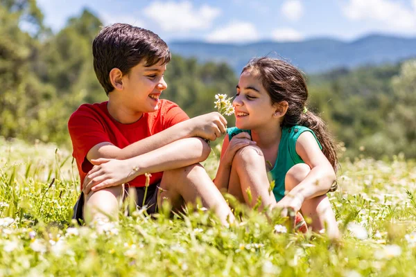 Twee Kinderen Plukken Bloemen Een Weide — Stockfoto