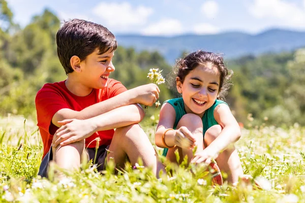 Twee Kinderen Plukken Bloemen Een Weide — Stockfoto