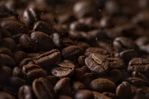 Primer plano de la caída de granos de café con enfoque en uno en la luz hermosa Fotos De Stock Sin Royalties Gratis