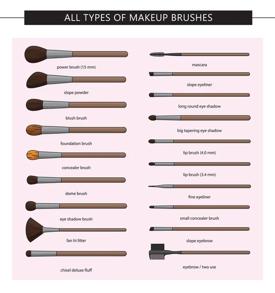 All types of makeup brushes. Vector set. Makeup brushes kit.Iisolated. Vector Set of Clean Professional Makeup Concealer Powder Blush Eye Shadow Brow Brushes with Handles Isolated on White Background