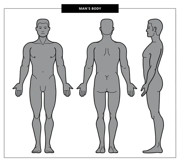 Illustratie van het lichaam van de mannen — Stockfoto