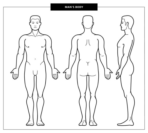 men's body and anatomy
