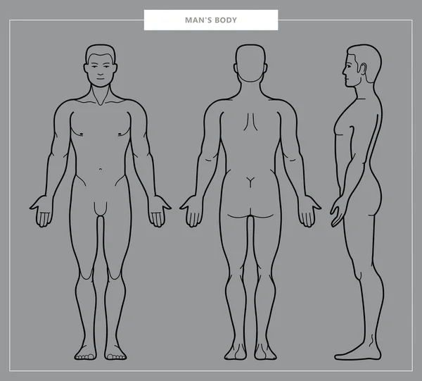 Ilustración vectorial del cuerpo del hombre — Archivo Imágenes Vectoriales