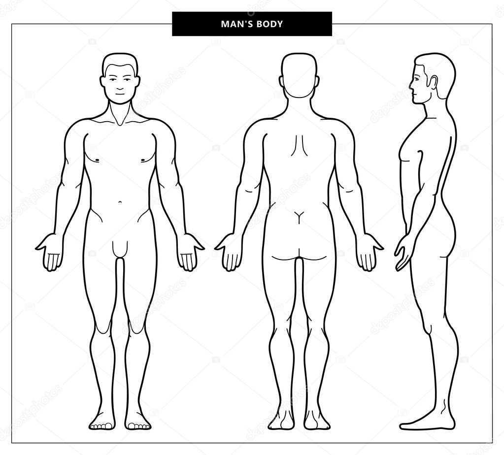men's body and anatomy