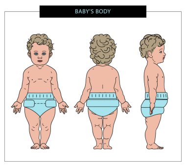 Bir çocuğun tasviri. Bebek bezi giymiş bir bebeğin renk çizimi. Öne, yana, arkaya. Vektör çizimi. - Vektör.