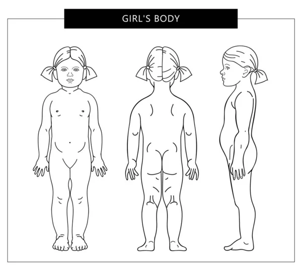 Het lichaam van het meisje van alle kanten — Stockvector