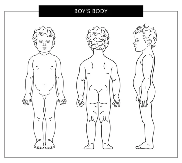Il corpo del ragazzo da tutti i lati — Vettoriale Stock