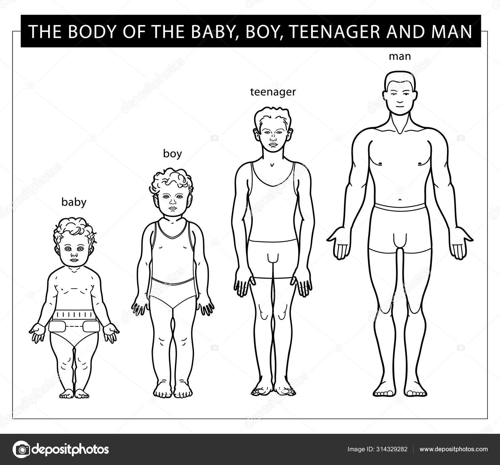 Organ - Wikipedia, den frie encyklopædi, image size:1600x1490