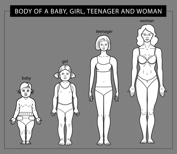 Etapy wzrostu od dziewczyny do kobiety — Wektor stockowy