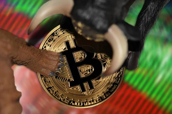 Bitcoin Baisse Och Hausse Aktiemarknaden Trender Konceptuell Illustration Stockfoto