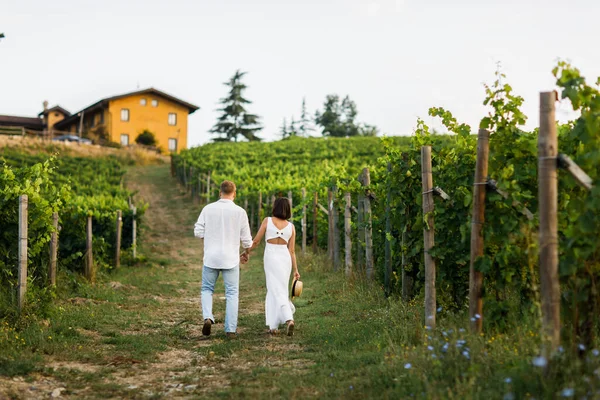 Wedding couple walking among the greenery. View from the back.