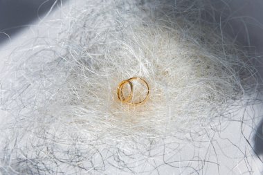 Elmaslarla işlenmiş sarı altın alyanslar. Dekoratif beyaz bir pipetin üzerinde.