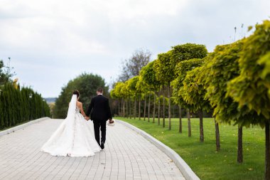 Yeşilliklerin arasında yürüyen düğün çifti. Arkadan bak..