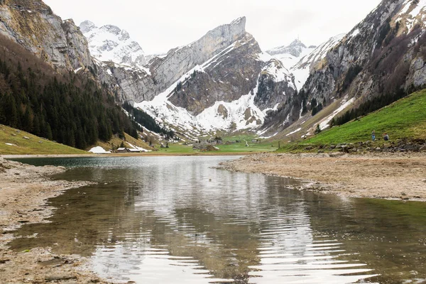 Landschap Zwitserland Foto Het Meer Tegen Achtergrond Van Bergen Bossen Rechtenvrije Stockafbeeldingen
