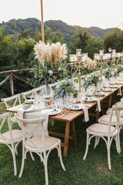 Düğün masası boho tarzında hazırlanmış, otlar ve yeşillikler, yumuşak odak