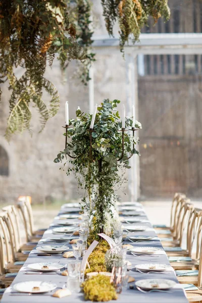 Tabaklar, bıçaklar ve çatallarla süslenmiş düğün masası, mum, yosun ve yeşillik.