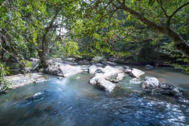 Şelale, nehir, ahşap