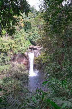 Şelale, nehir, ahşap