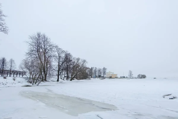 Frostiges Meer Winter Voller Schnee — Stockfoto
