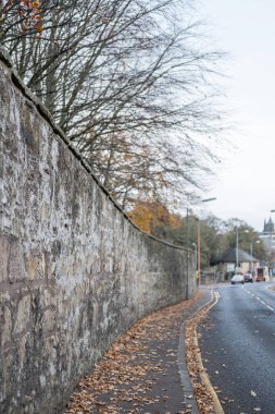 Sonbaharda sarı ve yeşil yaprakları ile Ağaç Dalı ile Taş duvar geçit.