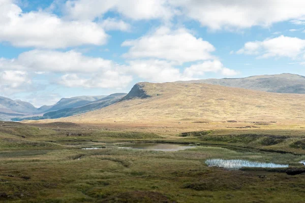 Vistas Panorámicas Del Paisaje Montaña Bosque Las Tierras Altas Escocesas — Foto de Stock