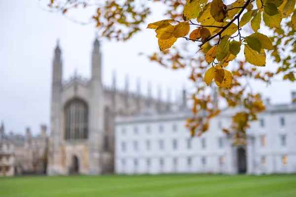 Вид Королівського Коледжу Кембриджський Університет — стокове фото