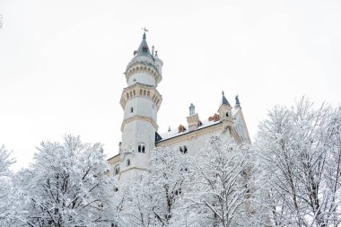Neuschwanstein Castle in the winter landscape. a nineteenth-century Romanesque Revival palace on a rugged hill above the village of Hohenschwangau near Fussen in southwest Bavaria, Germany. clipart