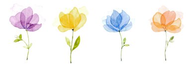 Resim suyu rengi, el beraberlik, mor çiçekler, sarı, mavi, o