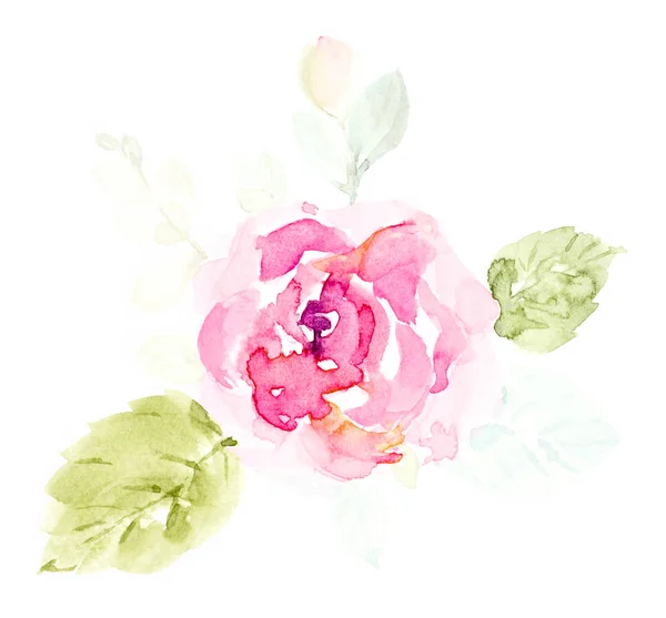 Rose pink cute flowers watercolor hand painted on a white backgr — Stock Photo, Image