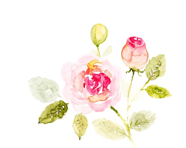 Ramo rosa flores acuarela pintada a mano en un bac blanco —  Fotos de Stock