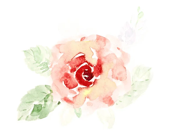 Niedlichen orangefarbenen Rosenblüten Aquarell Hand auf einem weißen Rücken gemalt — Stockfoto