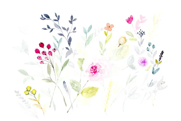 葉と花の水彩画. — ストック写真