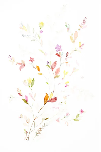 Ręcznie malowane akwarela liści i kwiatów. — Zdjęcie stockowe