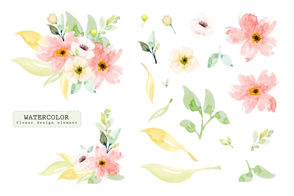 Conjunto de elementos de diseño de acuarela, rama de flor pintada a mano . —  Fotos de Stock