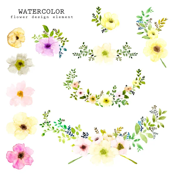 Conjunto de elementos de diseño de acuarela, rama de flor pintada a mano . —  Fotos de Stock