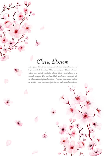 수채화 벚꽃 가지 손으로 그린 템플릿. — 스톡 사진