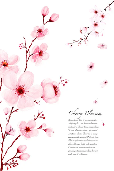 Szablon akwarela Sakura gałęzie ręcznie malowane na białym ekspresyjne — Zdjęcie stockowe