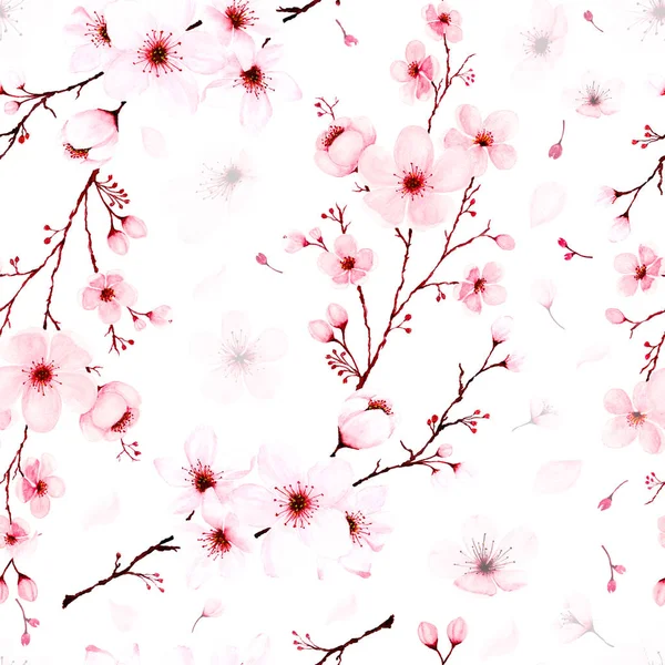 Seamless pattern with watercolor cherry blossom branches hand pa — Stock Photo, Image