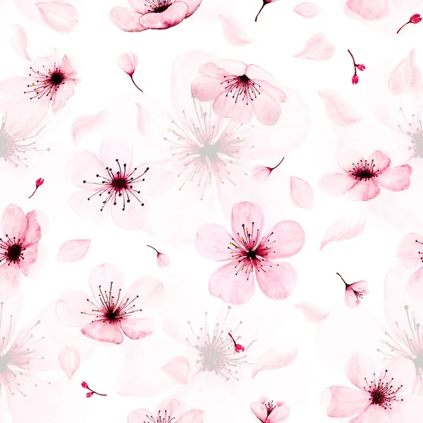 Seamless pattern with watercolor sakura branches hand painted. i — Stock Photo, Image