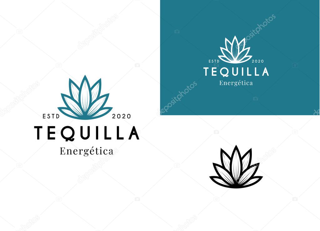 Vector illustration of Mexican Blue Agave Plant for Tequila Drink Vintage Label Logo Design