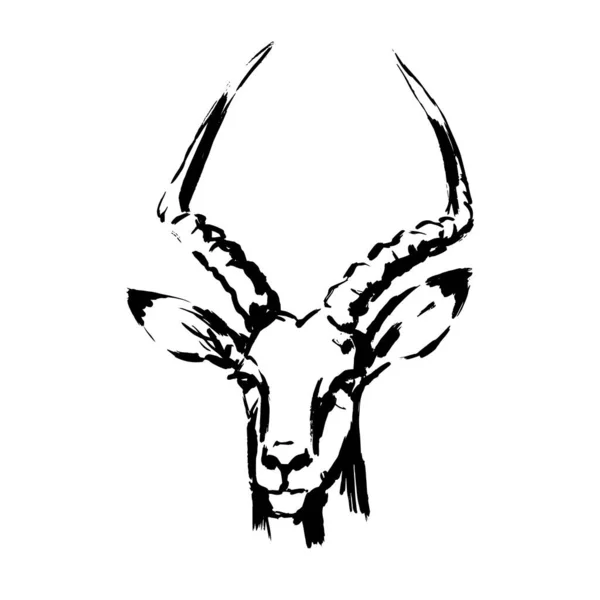 Antílope, pinceladas en aerosol de pintura en blanco y negro, cara de cabeza de antílope — Vector de stock
